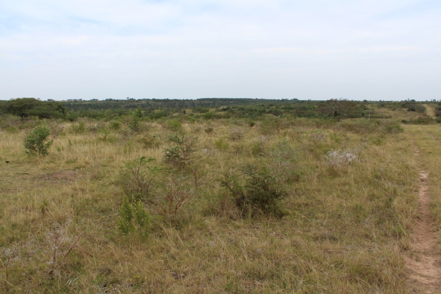 0 Bedroom Property for Sale in Bathurst Eastern Cape